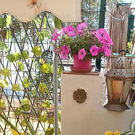 Apartmán Melograno Markópoulon Exteriér fotografie