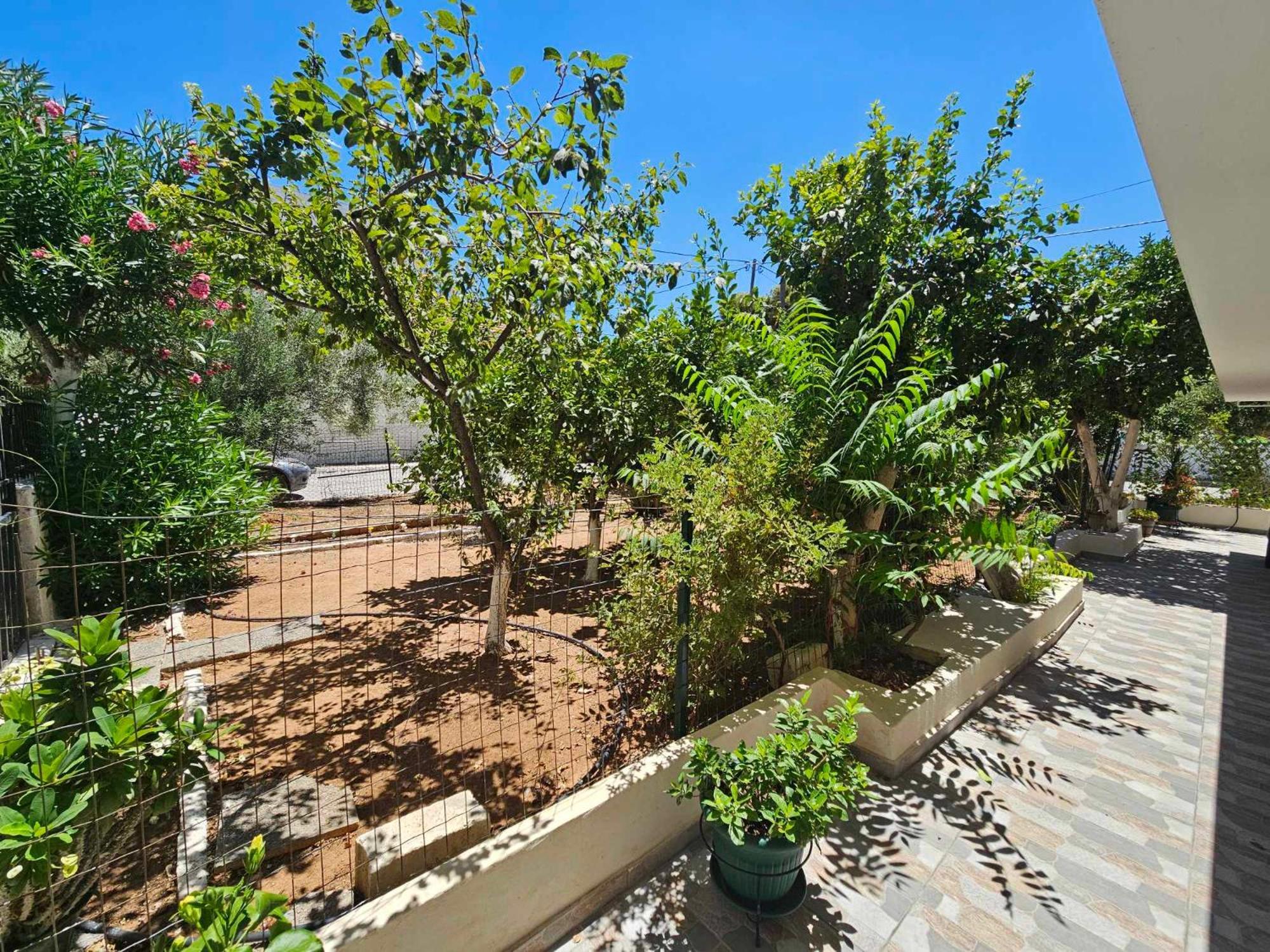 Apartmán Melograno Markópoulon Exteriér fotografie