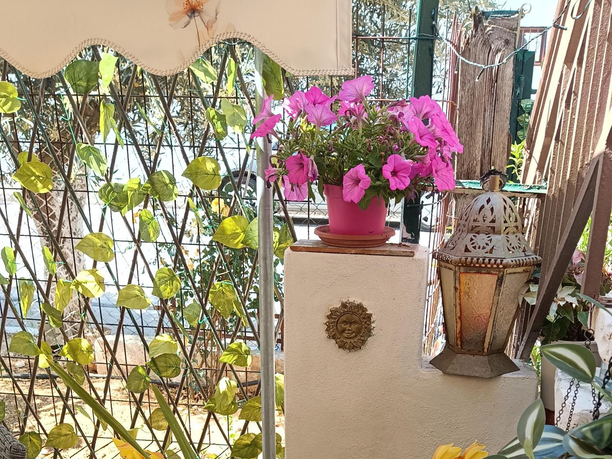 Apartmán Melograno Markópoulon Exteriér fotografie