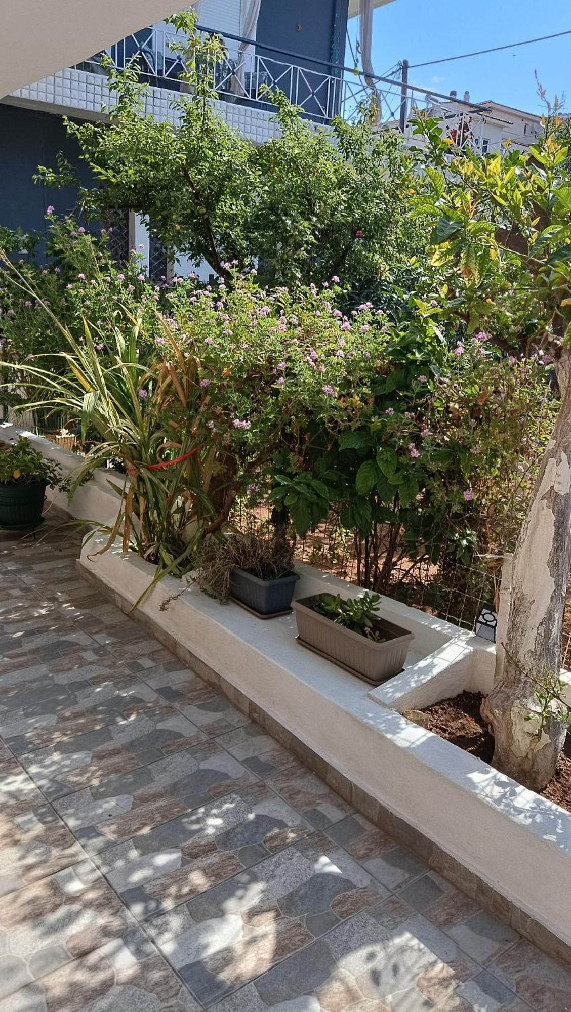 Apartmán Melograno Markópoulon Exteriér fotografie