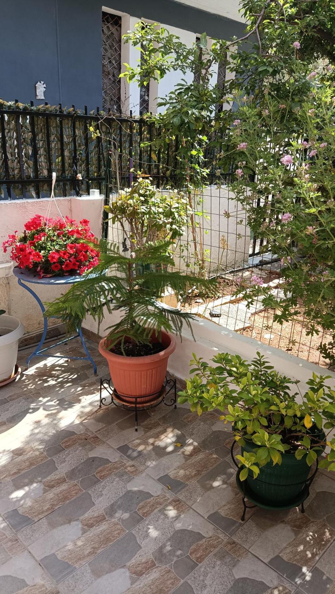 Apartmán Melograno Markópoulon Exteriér fotografie